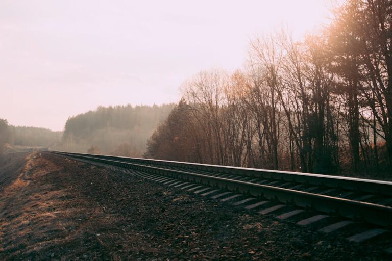 Foggy railway track through a misty autumn forest in Belarus, capturing serene nature and transportation scene.