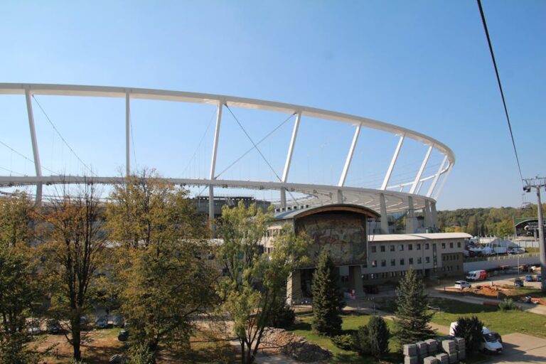 Stadium Roof Support