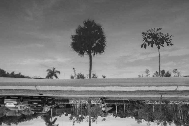 Black and white surreal landscape with trees and parked cars viewed upside-down.