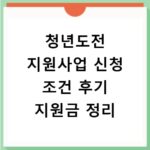 청년도전 지원사업 신청 조건 후기 지원금 정리