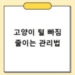 고양이 털 빠짐 줄이는 관리법