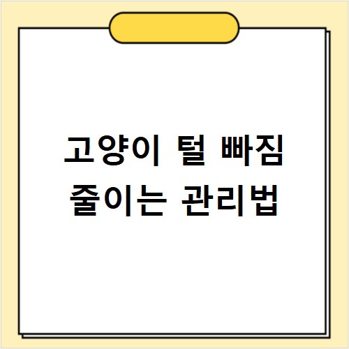 고양이 털 빠짐 줄이는 관리법